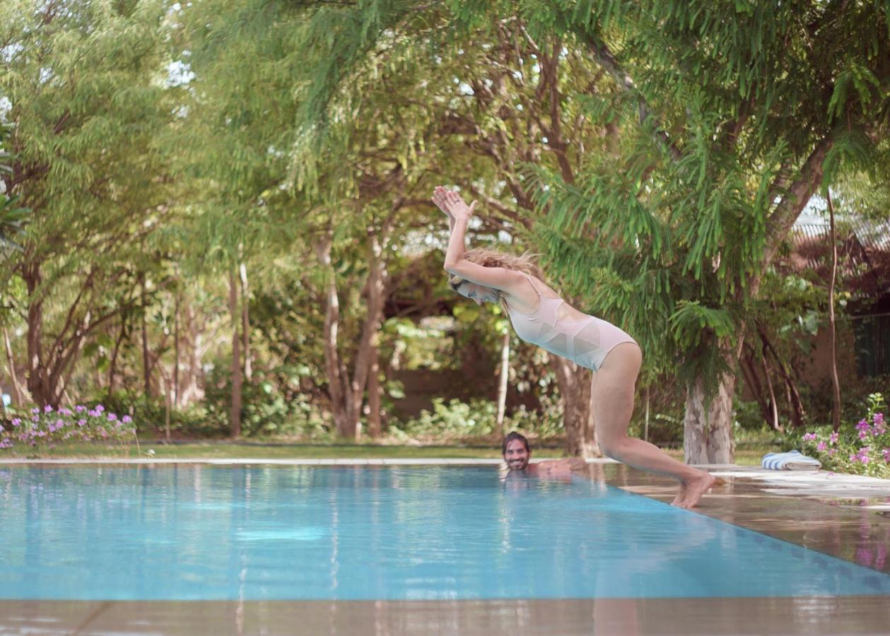 Pushkarorganic - Lux Farm Resort With Pool Extérieur photo