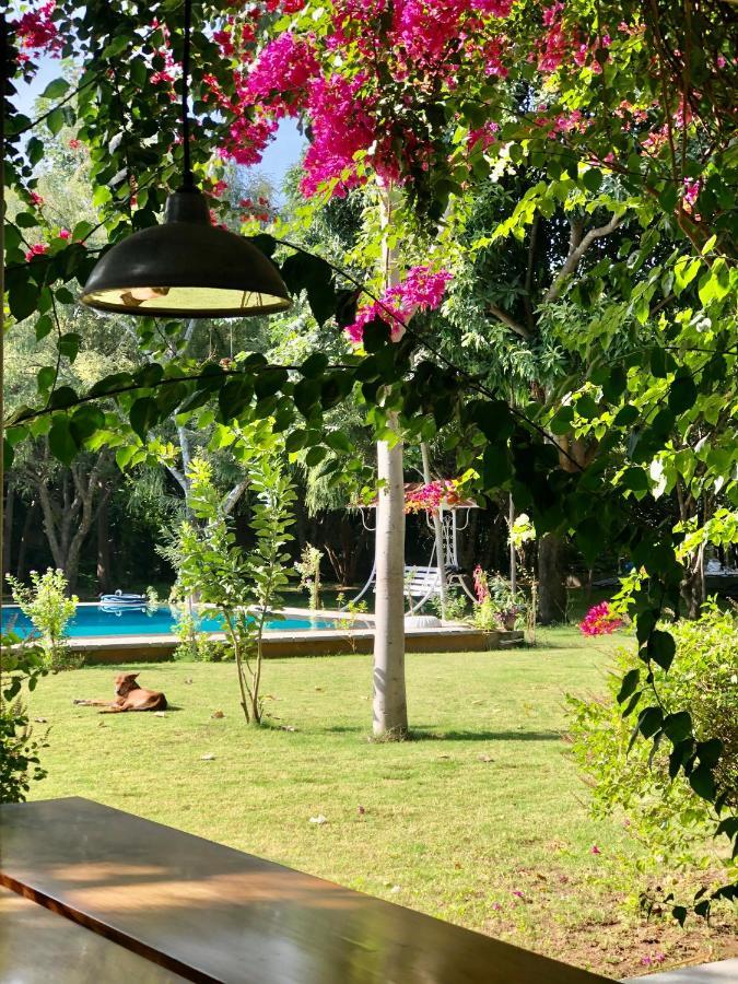 Pushkarorganic - Lux Farm Resort With Pool Extérieur photo
