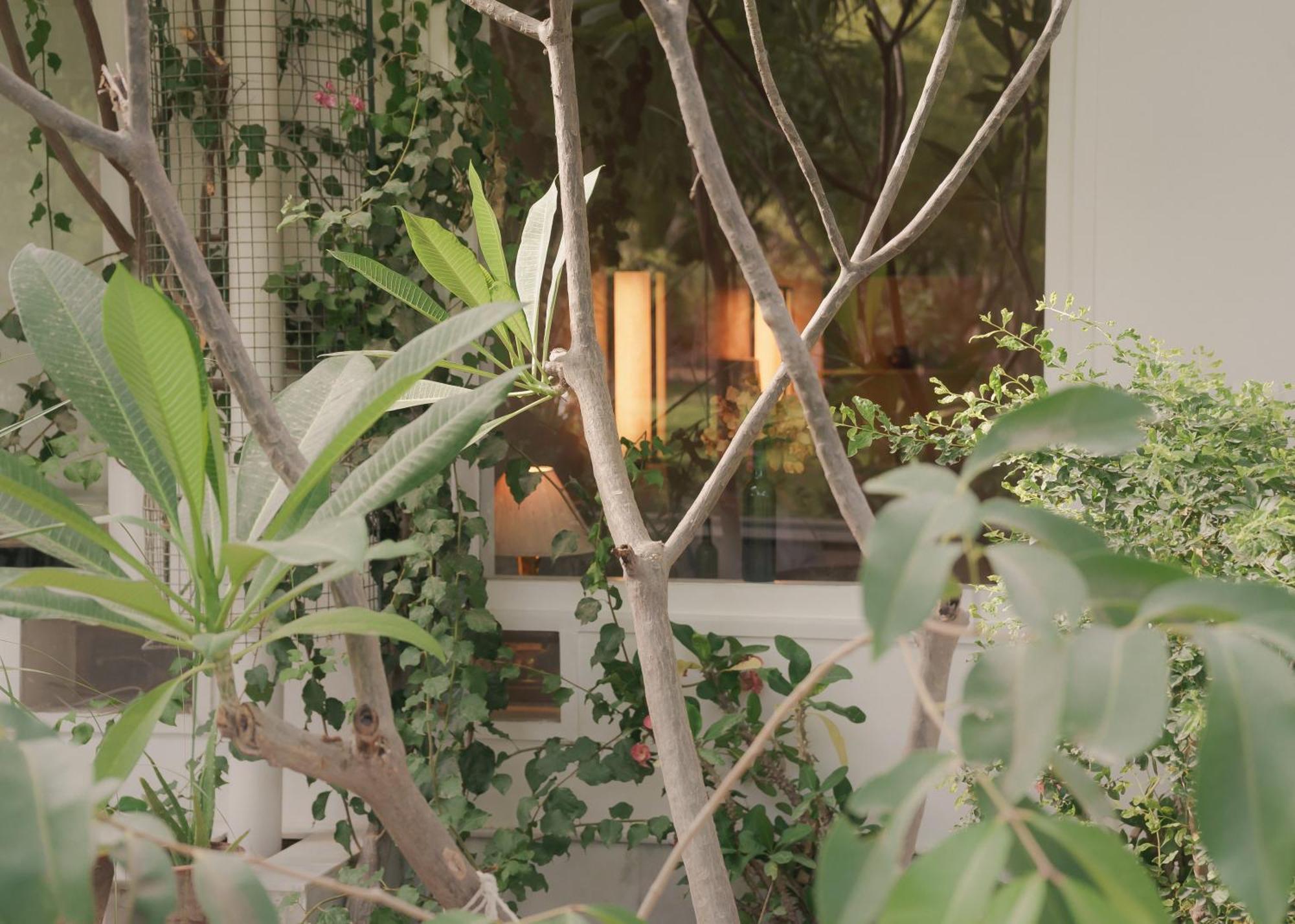 Pushkarorganic - Lux Farm Resort With Pool Extérieur photo